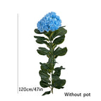 120cm Blue