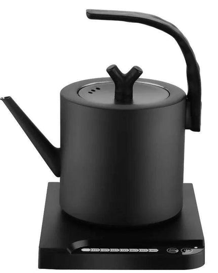 Elegant Precision Electric Kettle with Quick Boil and Temperature Settings