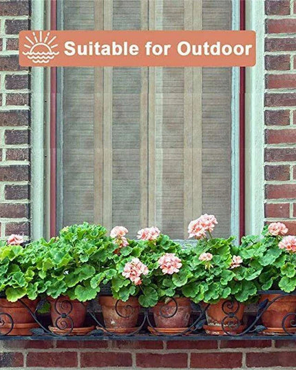 Set of 6 Adorable Mini Terracotta Pots with Saucers - Perfect for Succulents, Cacti, and Herbs - Sturdy Clay Planters for Home and Garden Decoration