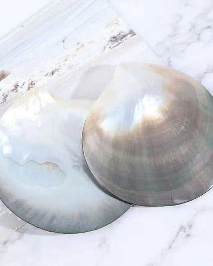 Elegant Black Butterfly Seashell - Stunning Coastal Decor Accent