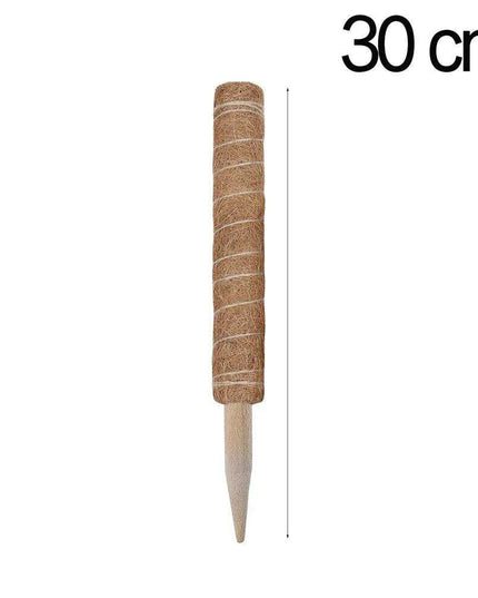 Vertical Garden Climbing Support Kit - Eco-Friendly Growth Solution for Indoor Plants