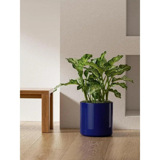 Large Blue 12-Inch Ceramic Flower Pot with Silicon Plug