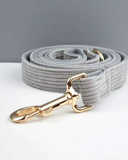 Personalized Light Grey Corduroy Dog Collar and Leash Set with Stylish Accessories