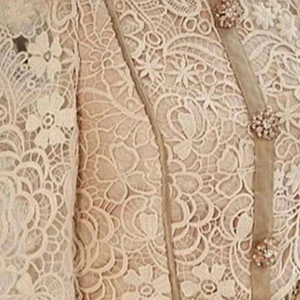 Elegant Lace and Mesh Evening Gown with Dazzling Details