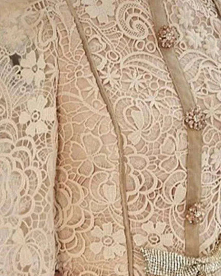 Elegant Lace and Mesh Evening Gown with Dazzling Details