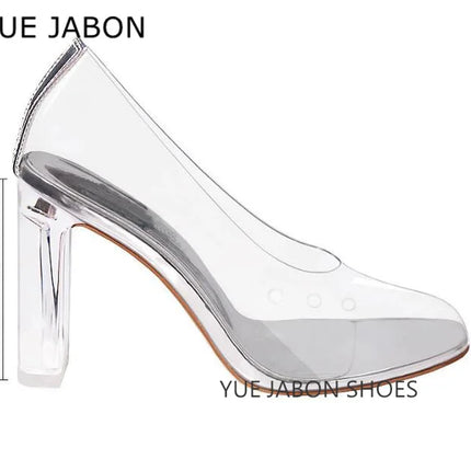 Longzehui Transparent High Heels – Pointed Toe Slip-On Perspex Pumps