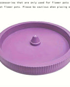 Purple Tray