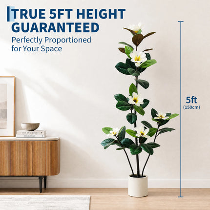 Artificial Magnolia Tree with White Flowers & White Pot, 150–180 cm