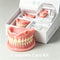 Natural‑Looking Silicone Full Dentures Upper Lower, Soft Comfortable Fit Daily Oral Care False Teeth for Men Women Daily Use natural-looking-silicone-full-dentures-upper-lower-soft-comfortable-fit-daily-oral-care-false-teeth-for-men-women-daily-use-2