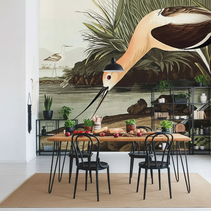 American Avocet Bird Mural Wallpaper — Non-Woven, Custom Sizes