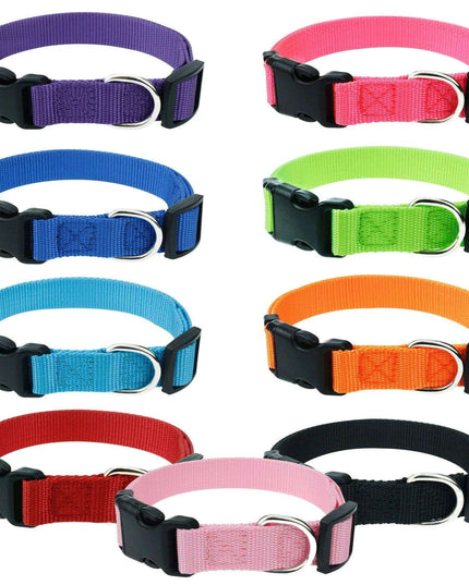 Personalized Nylon Dog ID Collar – Custom Name & Contact Info for Every Dog Breed