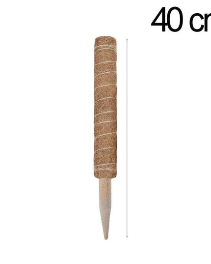 Vertical Garden Climbing Support Kit - Eco-Friendly Growth Solution for Indoor Plants