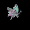 Butteryfly 02