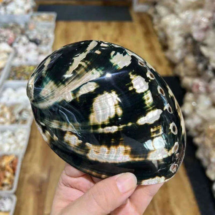 Vibrant Red-Accented Abalone Shell Décor - Unique Ocean-Inspired Gifts for Home and Aquariums