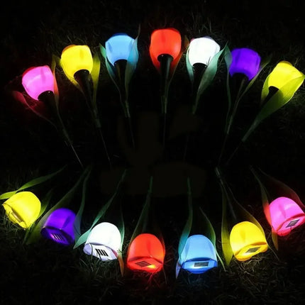 Solar LED Tulip Garden Lights — Waterproof Outdoor Pathway Decor