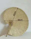 Palm leaf fan / United States / as picture