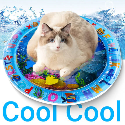 Cat Sensory Water Play Mat