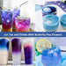 Thai Blue Butterfly Pea Flower Tea - Natural Elixir for Health and Radiant Skin