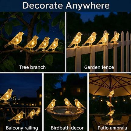 Lisf Solar Waterproof Bird Light String - Decorative Outdoor Illuminat