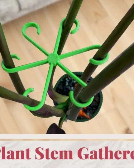 12 Pack Eco-Friendly Plant Support Frames - Stylish Trellis for Enhanced Plant Growth