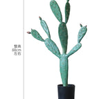 Tall Leaf