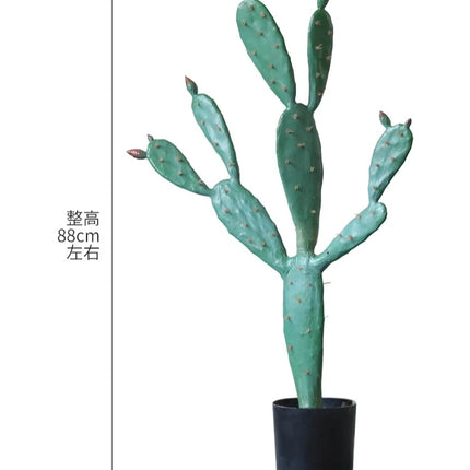 Home Decoration. 80 Characters Simulated Green Plants for Indoor Micro-landscape Decor Under Staircase the-space-under-the-staircase-is-decorated-with-simulated-green-plants-in-the-desert-creating-indoor-micro-landscape