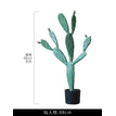 Tall Leaf