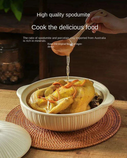 Japanese Ceramic Double Handle Stew Pot for Authentic Gas Stove Cooking