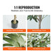 Personalized Realistic Stainless Steel Olive Tree for Stylish Home and Garden Decor