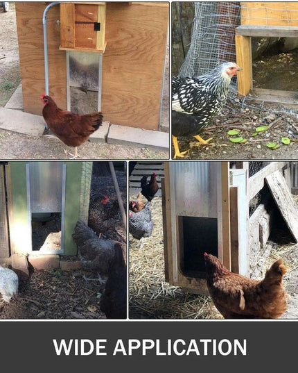Automated Poultry Coop Door System with Infrared Safety and Timer Control