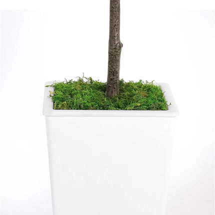 8 ft Artificial Olive Tree with White Pot and Faux Moss