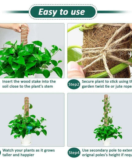 Vertical Garden Climbing Support Kit - Eco-Friendly Growth Solution for Indoor Plants