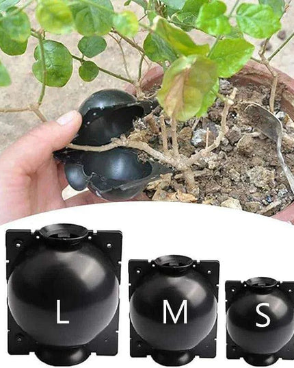 10-Pack High Pressure Rooting Ball Kits for Easy Plant Propagation and Air Layering