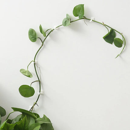 Self-Adhesive Plant Climbing Wall Clips — Leaf-Shaped Vine Fixers, 10pcs