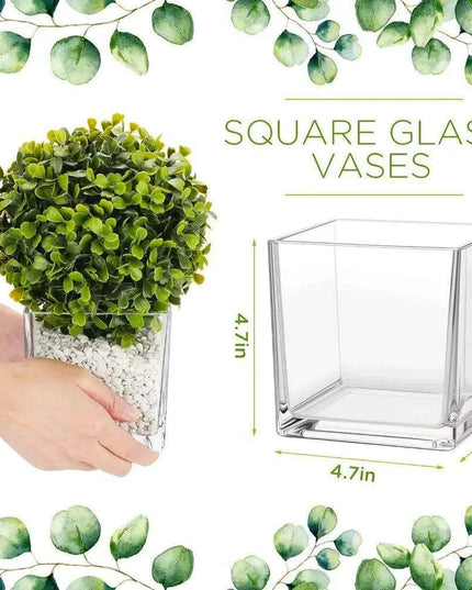 Stylish 16-Piece Square Glass Vase Set - Crystal Clear Home Accent Decor