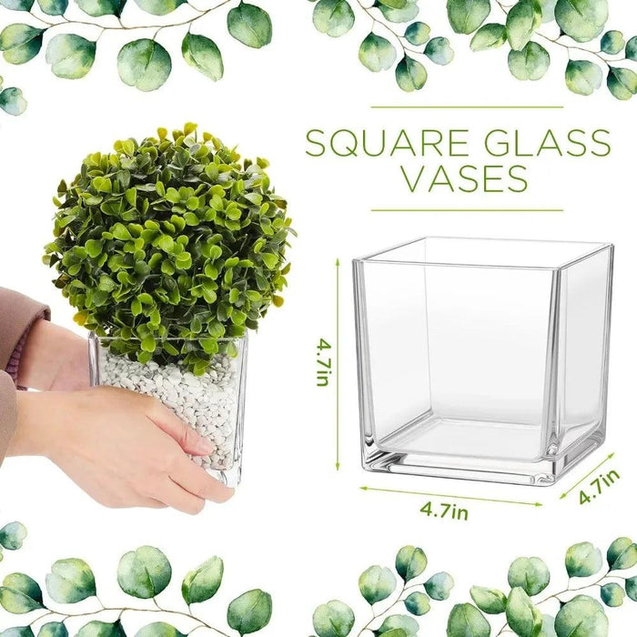 Square Glass Vases Bulk Set - 16-Piece Flower