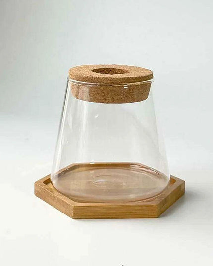 Chic Hydroponic Glass Vase - Modern Mini Planter for Stylish Home Decor