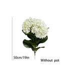 50cm White