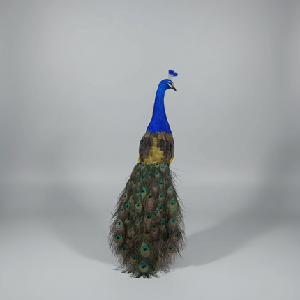 Colorful 100cm Foam & Feather Peacock Model — Realistic Decorative Gift