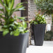 Modern 26" Tall 2-Pack Black Square Self-Watering Outdoor Planter for Healthy Root Growth