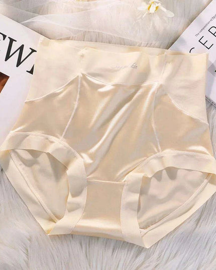 Elegant Satin Japanese Lingerie Set for Women - Plus Size Briefs in Stylish Solid Shades