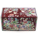 Luxurious Mother of Pearl Jewelry Organizer Box with Dual Drawers for Accessories