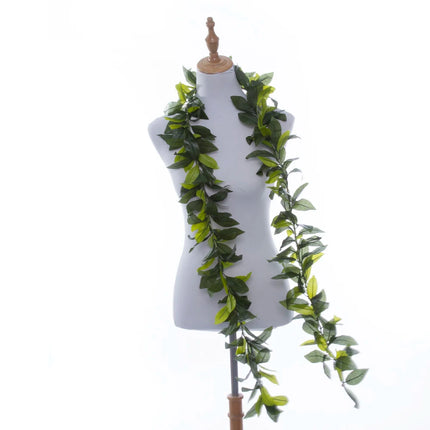 Hula Girl Store 50PCS Artificial 180CM Leis for Summer Beach Parties