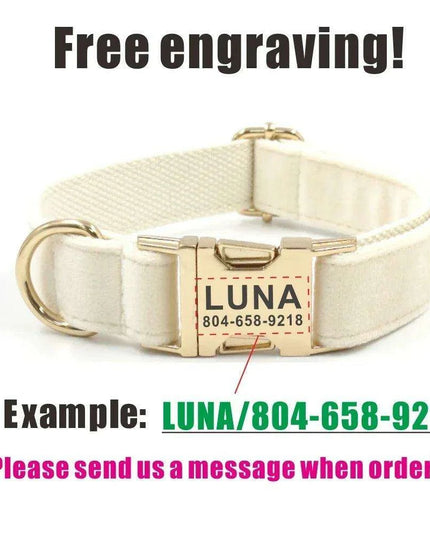 Personalized Luxury Velvet Dog Collar with Engraved Name Tag and Matching Leash
