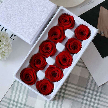 Eternal Blooms: Luxurious 10-Piece Preserved Rose Heads Collection