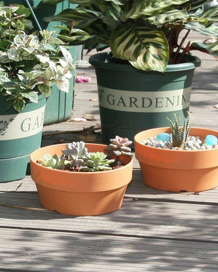 Set of 6 Chic Clay Planters - 12.5cm Pots for Indoor & Outdoor Succulent and Herb Gardening