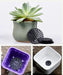 Garden Optimizer: 10-Pack Durable Mesh Drainage Cushions for Circular Planters