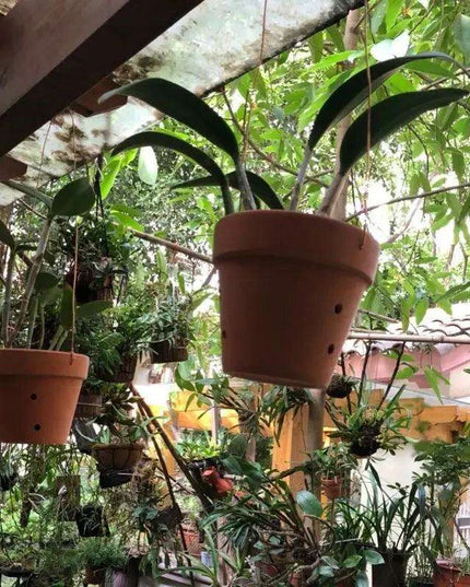 Set of 2 Stylish Red Terracotta Hanging Pots with Drainage for Succulents and Cacti