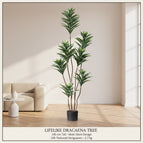 White edge 145cm