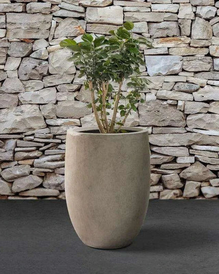 Sleek Contemporary Round Concrete Planter - Perfect for Indoor and Outdoor Use